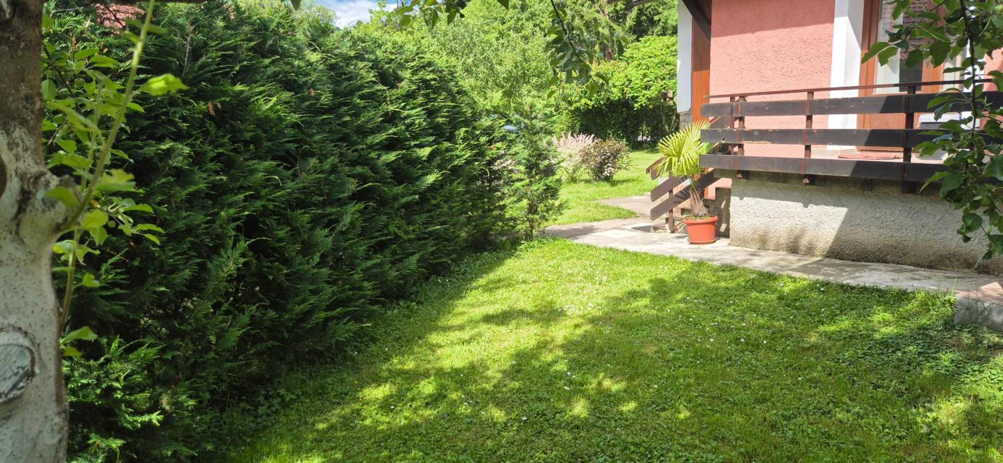 Gorska Kuca Elin Villa Brod na Kupi Bagian luar foto
